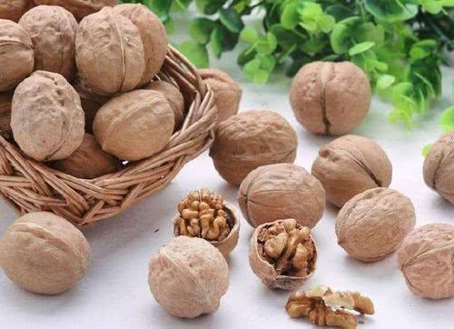 宅經(jīng)濟崛起,休閑零食迎來新風口